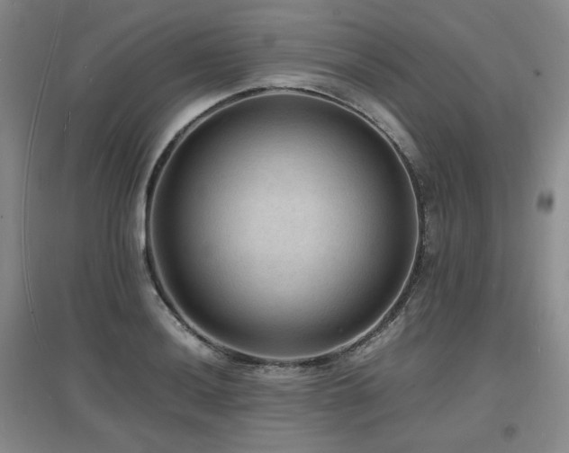 X0000097621036200802291321