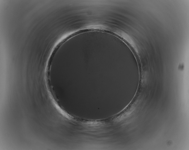 X0000097621037200802291321