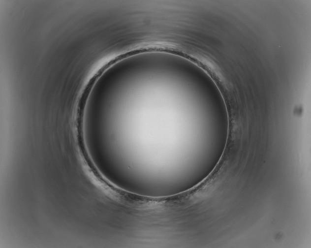 X0000097621038200802291321