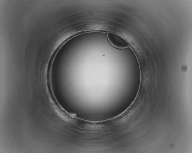 X0000097621039200802291321