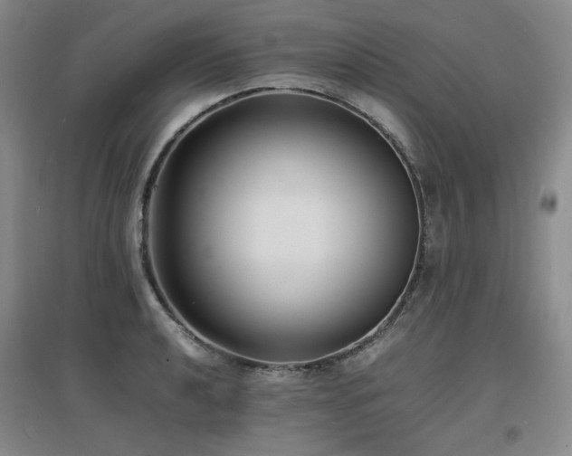 X0000097621040200802291321