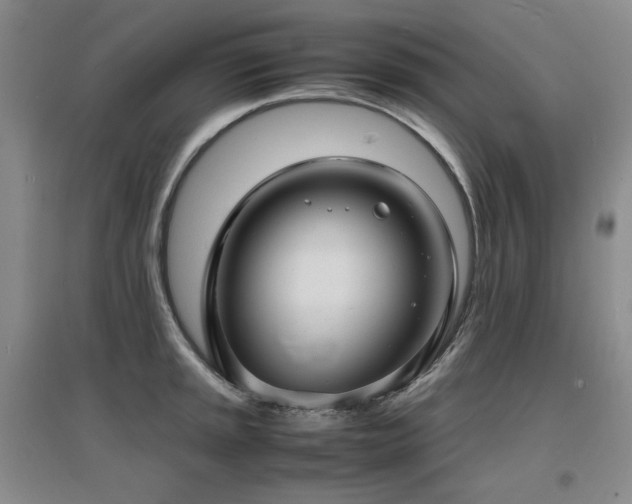 X0000097621045200802291321