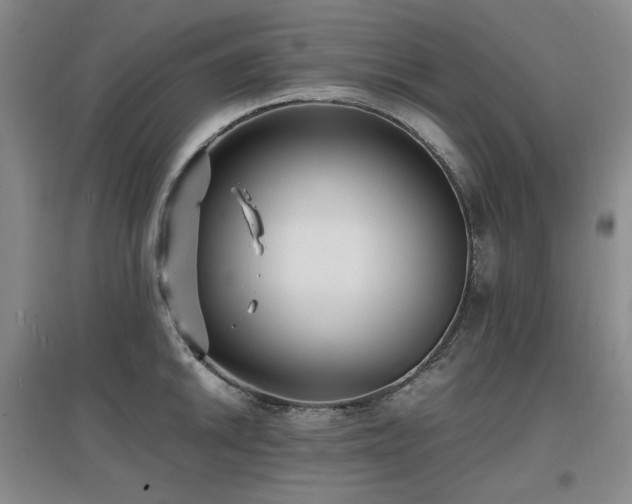X0000097621046200802291321