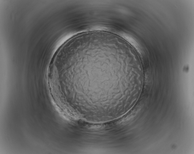 X0000097621047200802291321