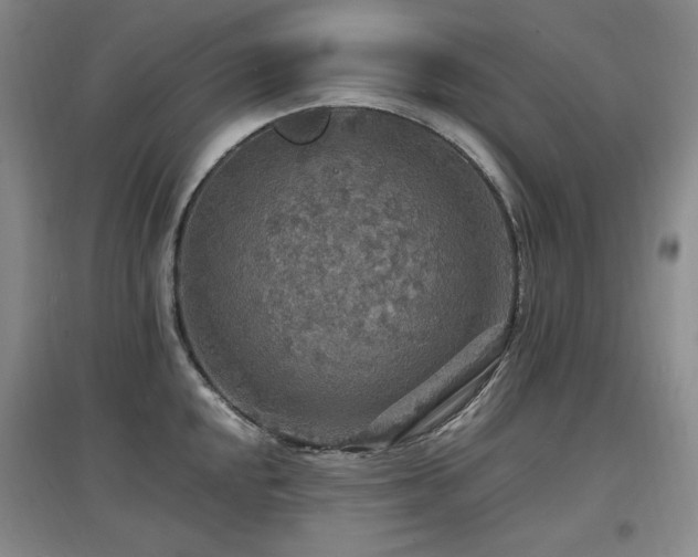 X0000097621048200802291321
