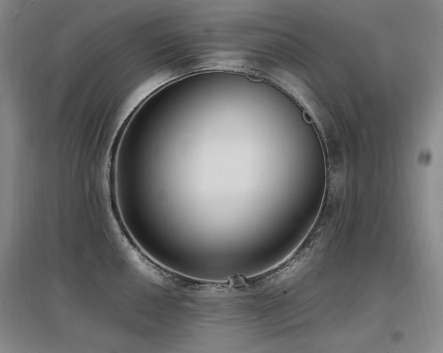 X0000097621050200802291321