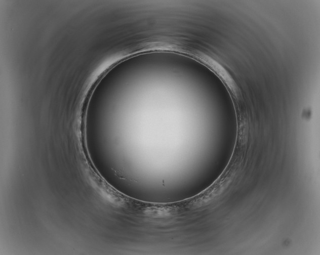 X0000097621051200802291321