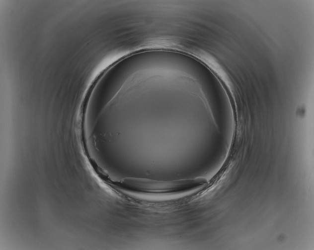 X0000097621053200802291321