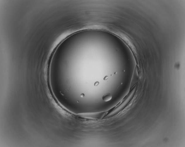 X0000097621054200802291321