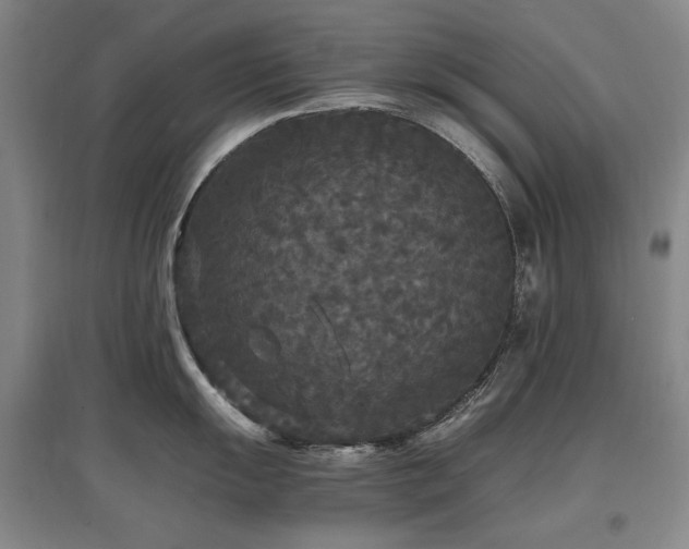 X0000097621055200802291321