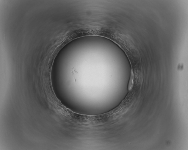 X0000097621057200802291320