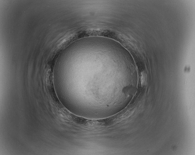 X0000097621059200802291320