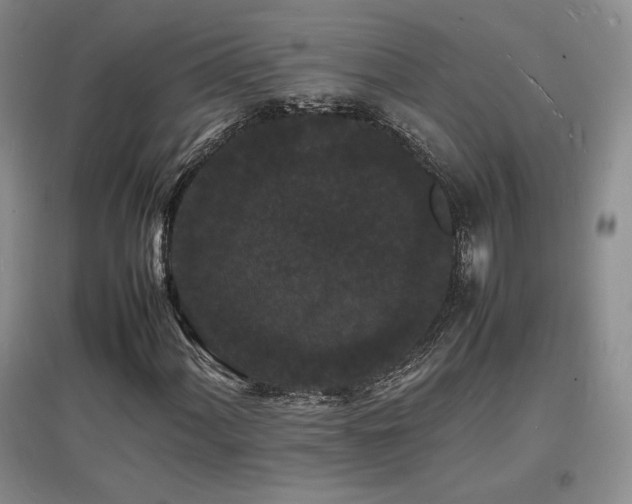 X0000097621060200802291320