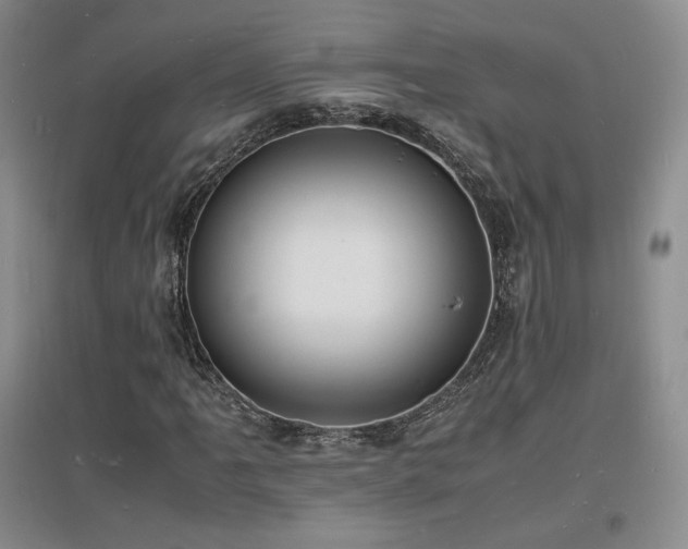 X0000097621061200802291320