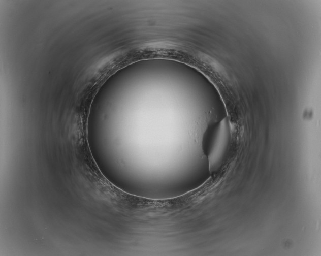 X0000097621062200802291320