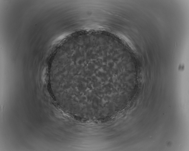 X0000097621063200802291320