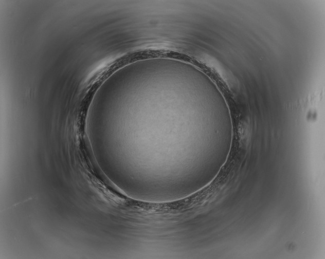 X0000097621064200802291320