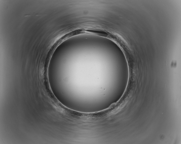 X0000097621065200802291320
