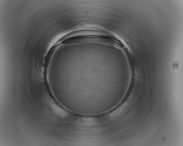 X0000097621066200802291320