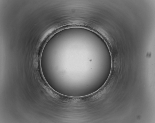 X0000097621067200802291320