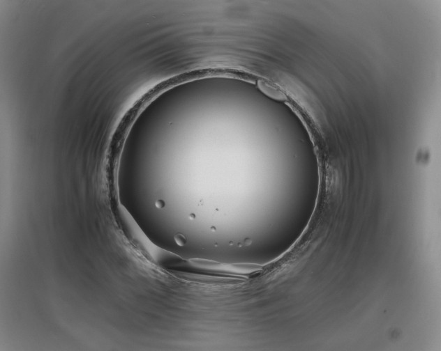 X0000097621068200802291320