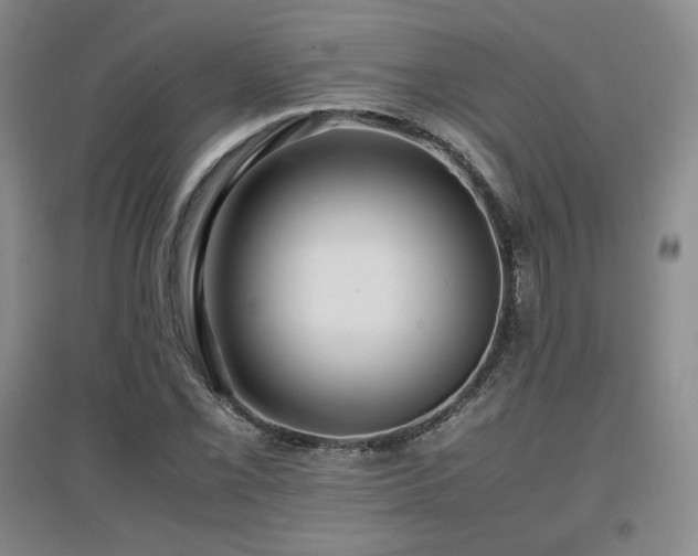 X0000097621069200802291320