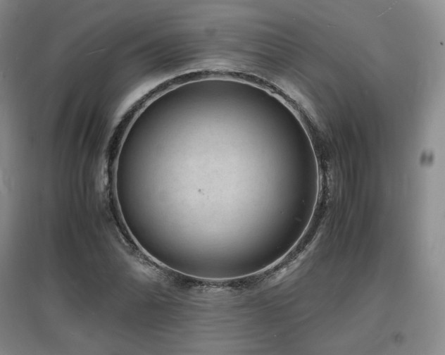 X0000097621070200802291320