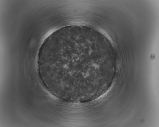 X0000097621071200802291320