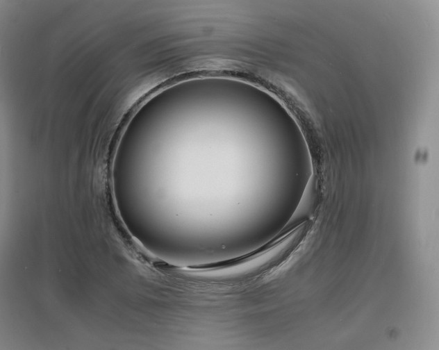 X0000097621073200802291320