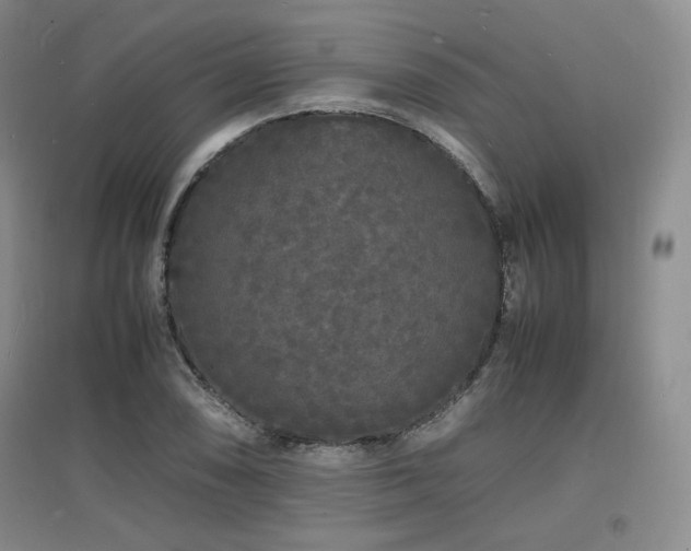 X0000097621074200802291320