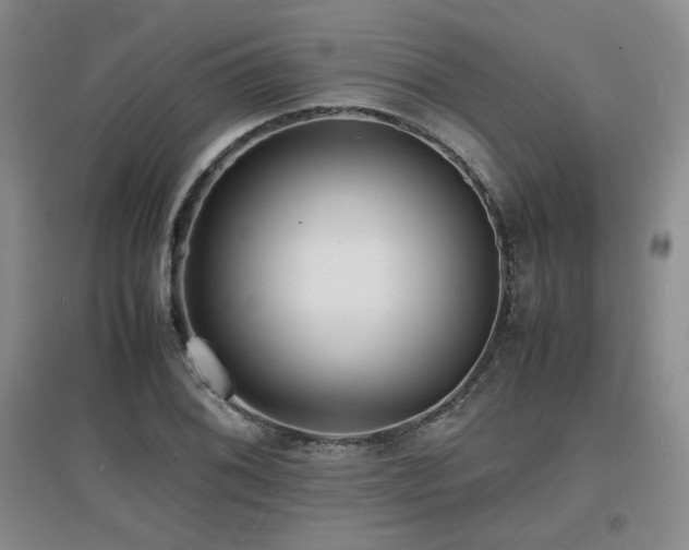 X0000097621076200802291320