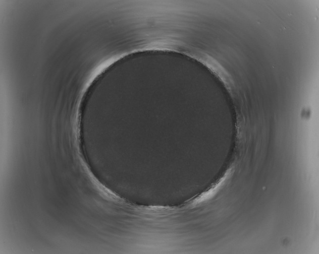 X0000097621077200802291320