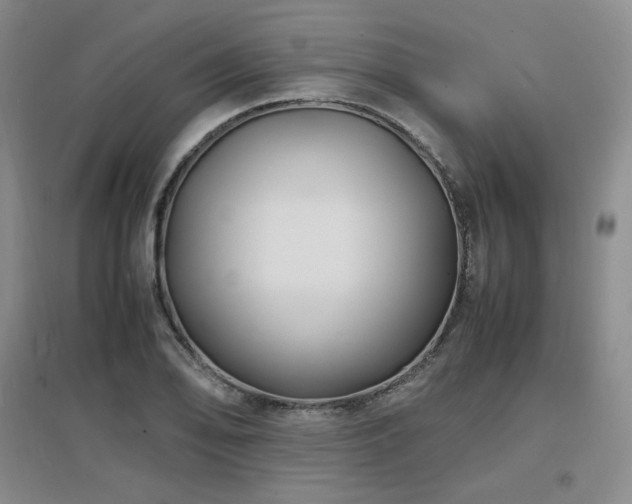 X0000097621078200802291320