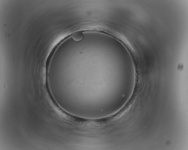 X0000097621079200802291320