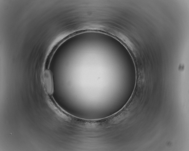 X0000097621080200802291320