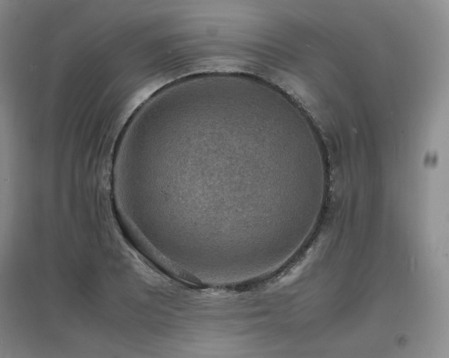 X0000097621081200802291320