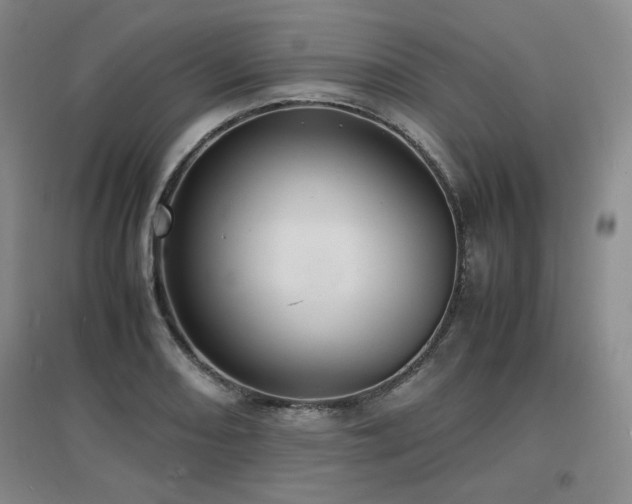 X0000097621082200802291320