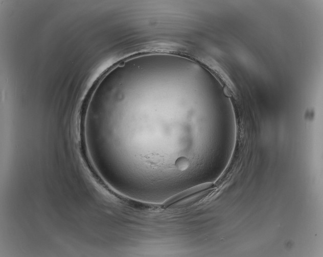 X0000097621083200802291320