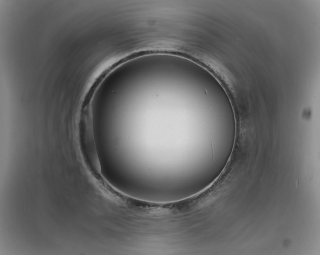 X0000097621085200802291320