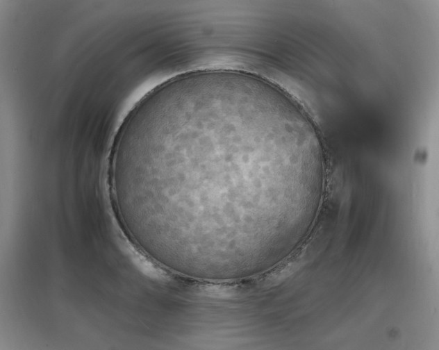 X0000097621086200802291320
