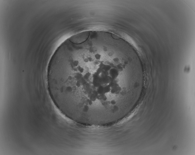 X0000097621087200802291320