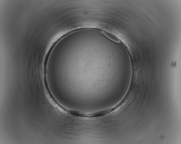 X0000097621088200802291320