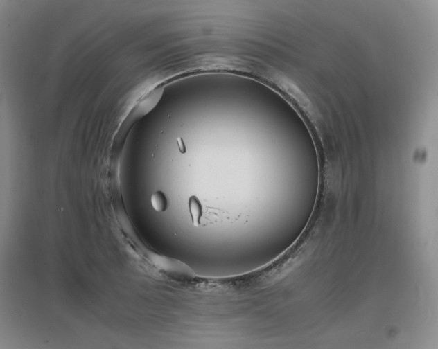 X0000097621089200802291320