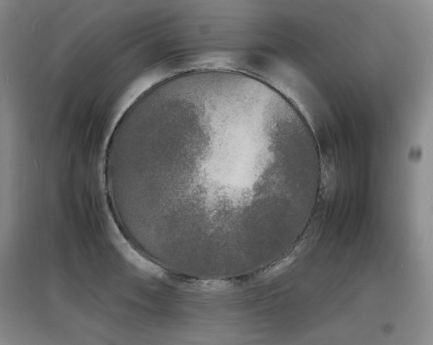 X0000097621090200802291320