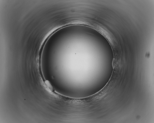 X0000097621092200802291320