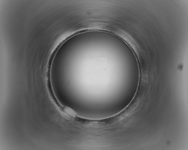 X0000097621093200802291320