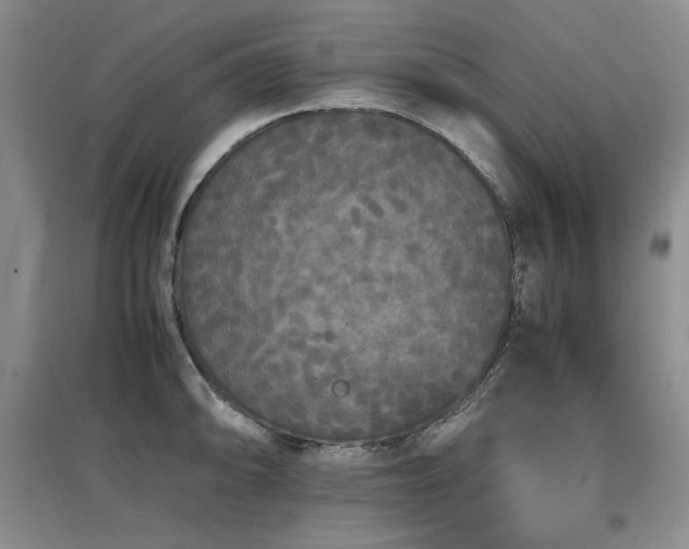 X0000097621094200802291320