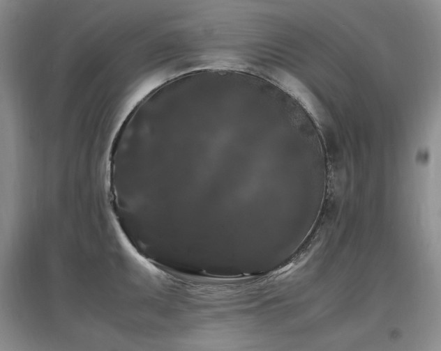 X0000097621095200802291320
