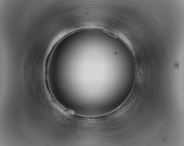 X0000097621096200802291320