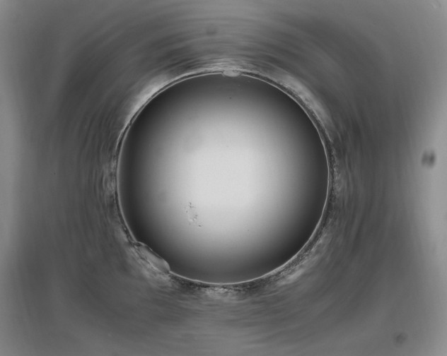 X0000097621097200802291319